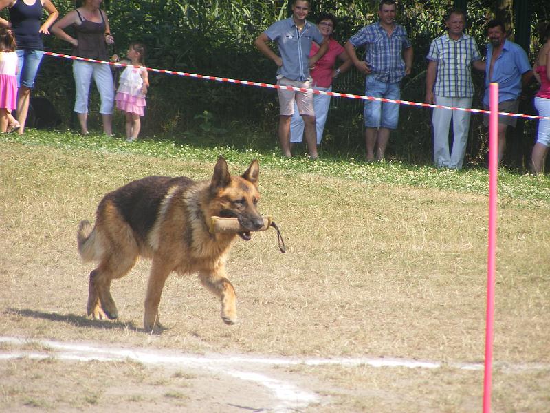 01.07.12r. FESTYN 123